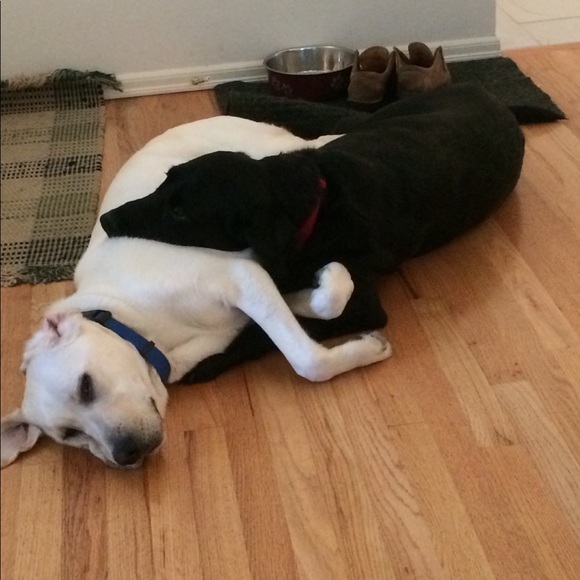 Meet Your Posher - Picture 4 of 5